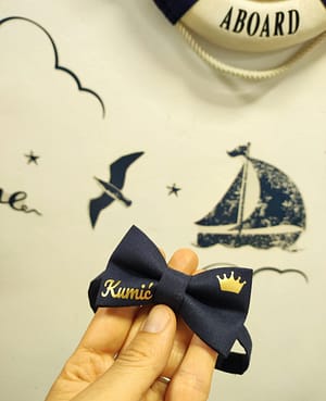 leptir masne kumic